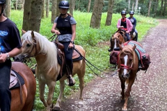 Handpferdreiten beim Wanderritt